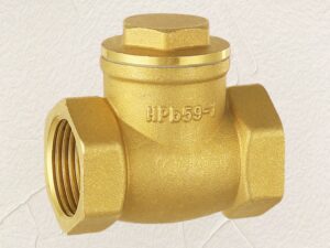 Plumbing Brass Check Valve