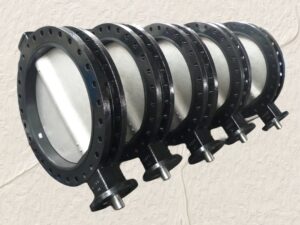 Standard U Section Double Flange Butterfly Valve