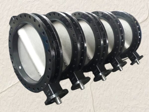 Standard U Section Double Flange Butterfly Valve
