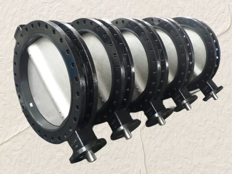 standard-u-section-double-flange-butterfly-valve-01