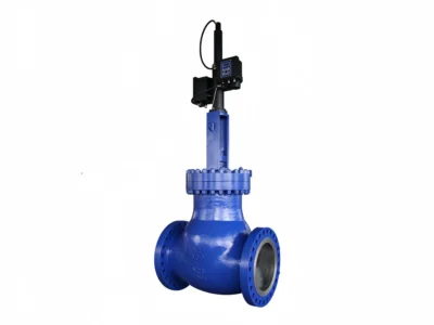 24" CL600 Pressure-Balanced Cage-Guided Control Valve with Electro-Hydraulic Actuator