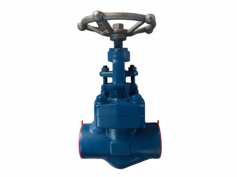 800lb-forged-steel-globe-valve