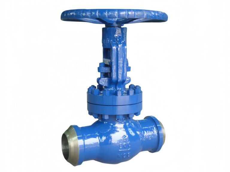 900lb-bw-end-globe-valve