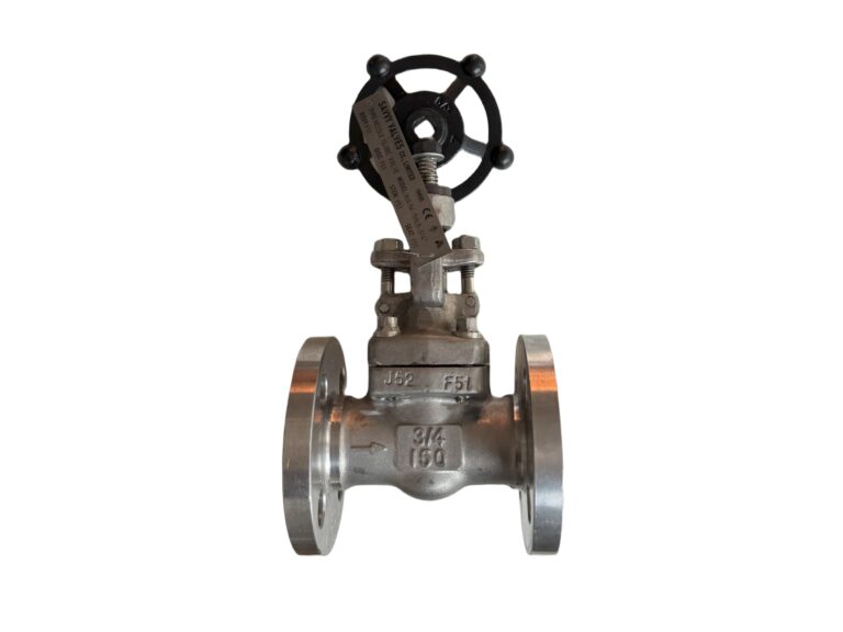 DSS-F51-forged-globe-valve-1