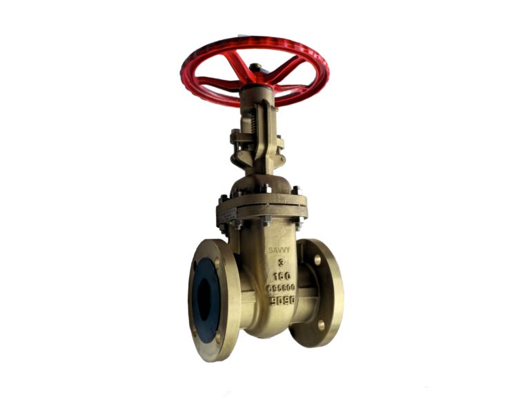 b148-c95800-nickel-aluminum-bronze-gate-valve (1)