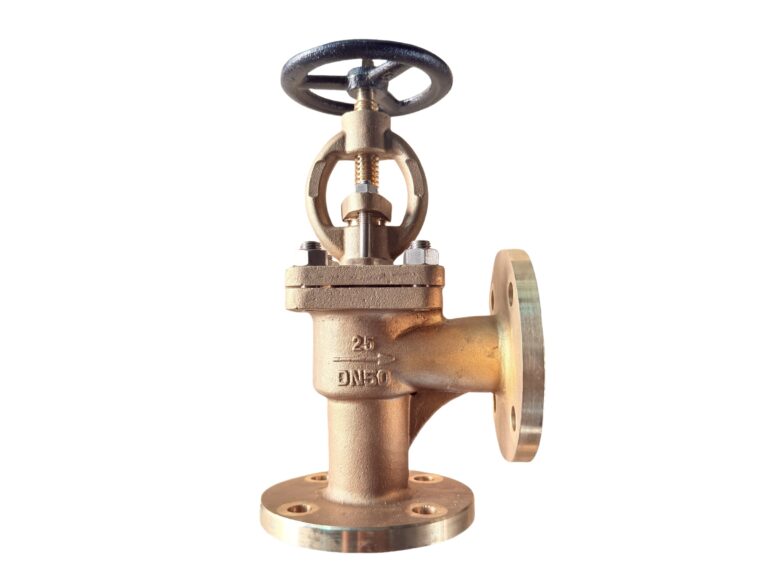 b148c95800-angle-globe-valve-1