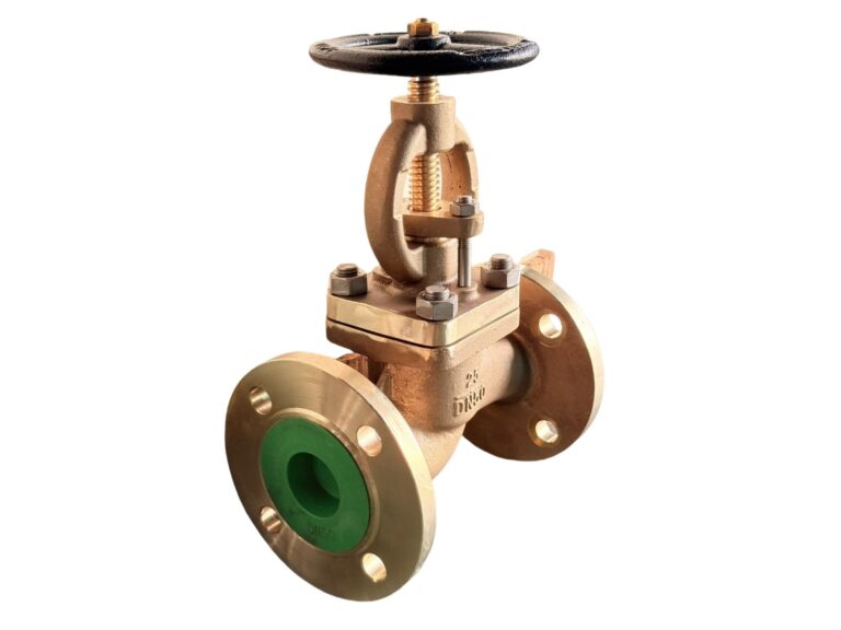 b148c95800-globe-valve-1