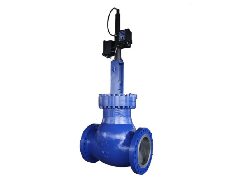 electric-hydraulic-control-valve-type-globe-balanced-caged1