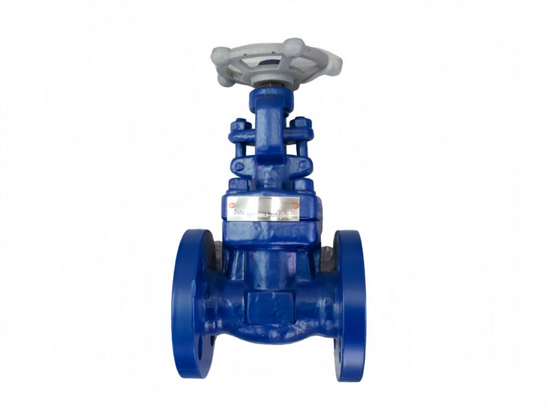 API 602 Closed Die-forged Gate Valve Extended Bonnet - Savvy Valves