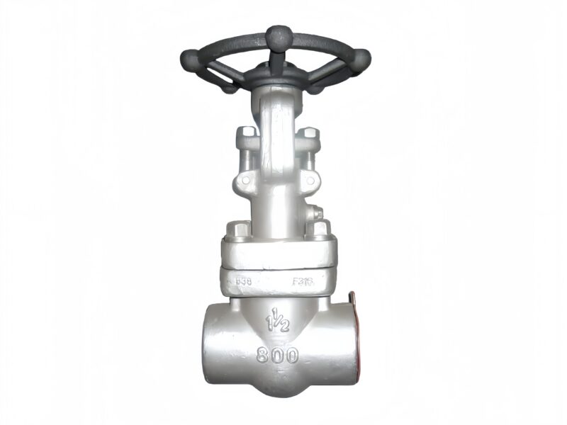 API 602 Closed Die-forged Gate Valve Extended Bonnet - Savvy Valves