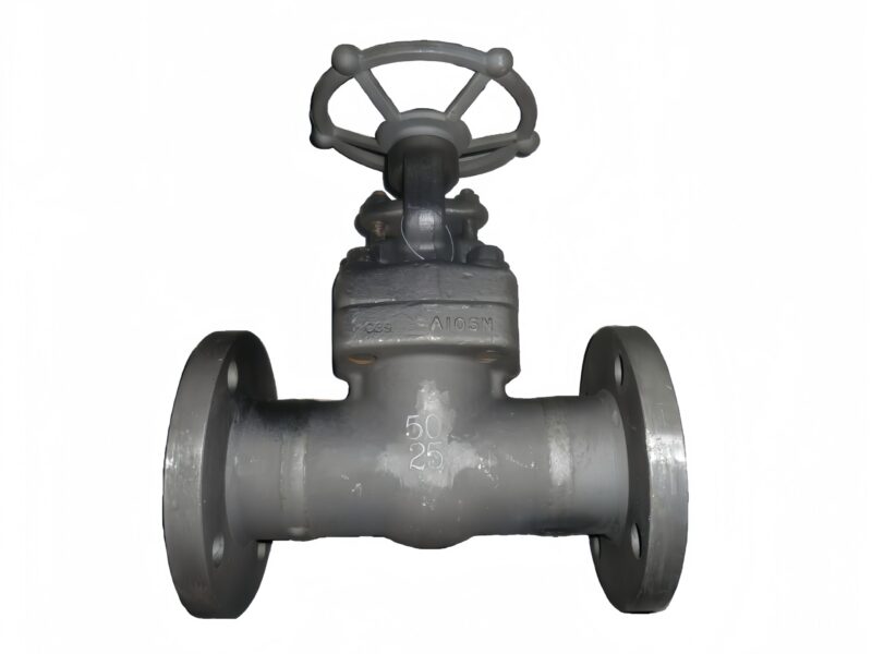 API 602 Closed Die-forged Gate Valve Extended Bonnet - Savvy Valves