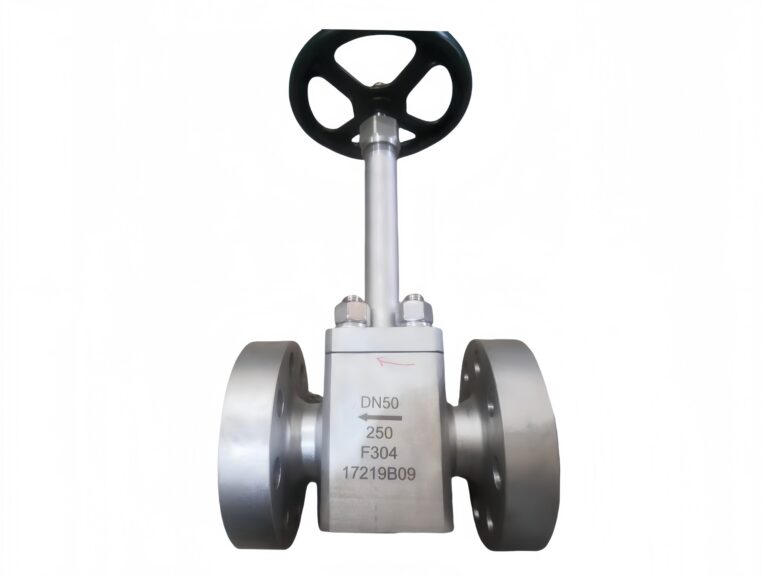 free-forged-globe-valve