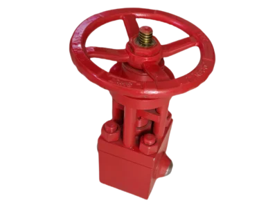 1/2" Class 4500 Globe Valve (Butt Weld)