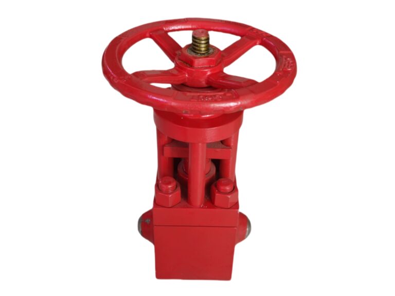4500lb-forged-steel-globe-valve (2)