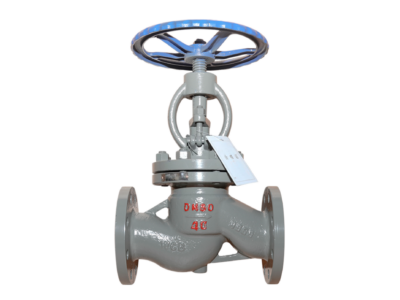 DN80-PN40-RF Soft Seated Globe Valve