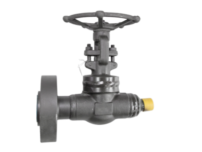 3/4"-2500LB-RTJ*SW Welded Bonnet Globe Valve