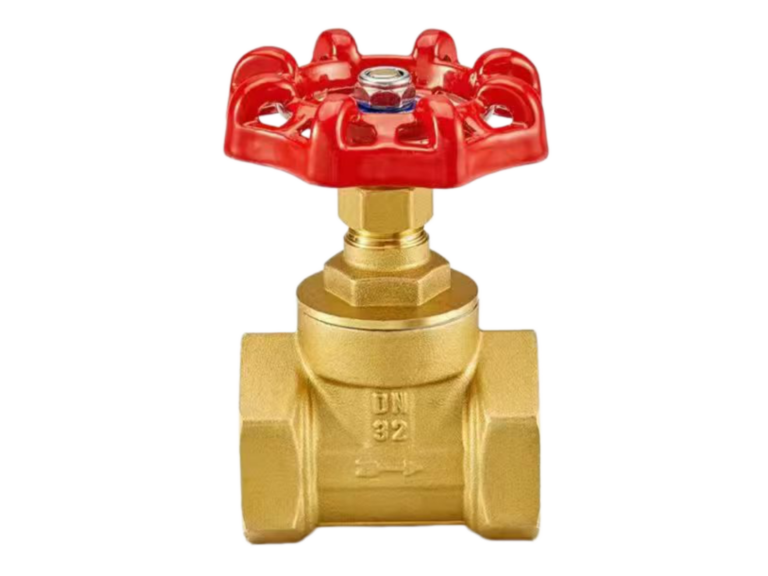 DN32-Pn16-Globe Valve
