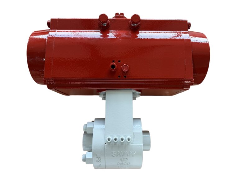 2500LB ESD ball valve