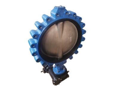 Rubber Bonded Concentric Butterfly Valve – DN600 PN16 Lugged