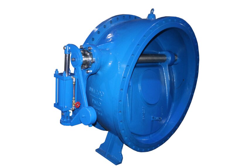 hydraulic dashpot butterfly check valve