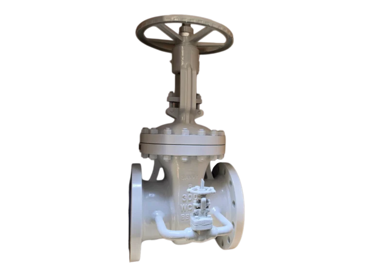 Cast Steel Parallel Slide Gate Valve (With Bypass Valve)1