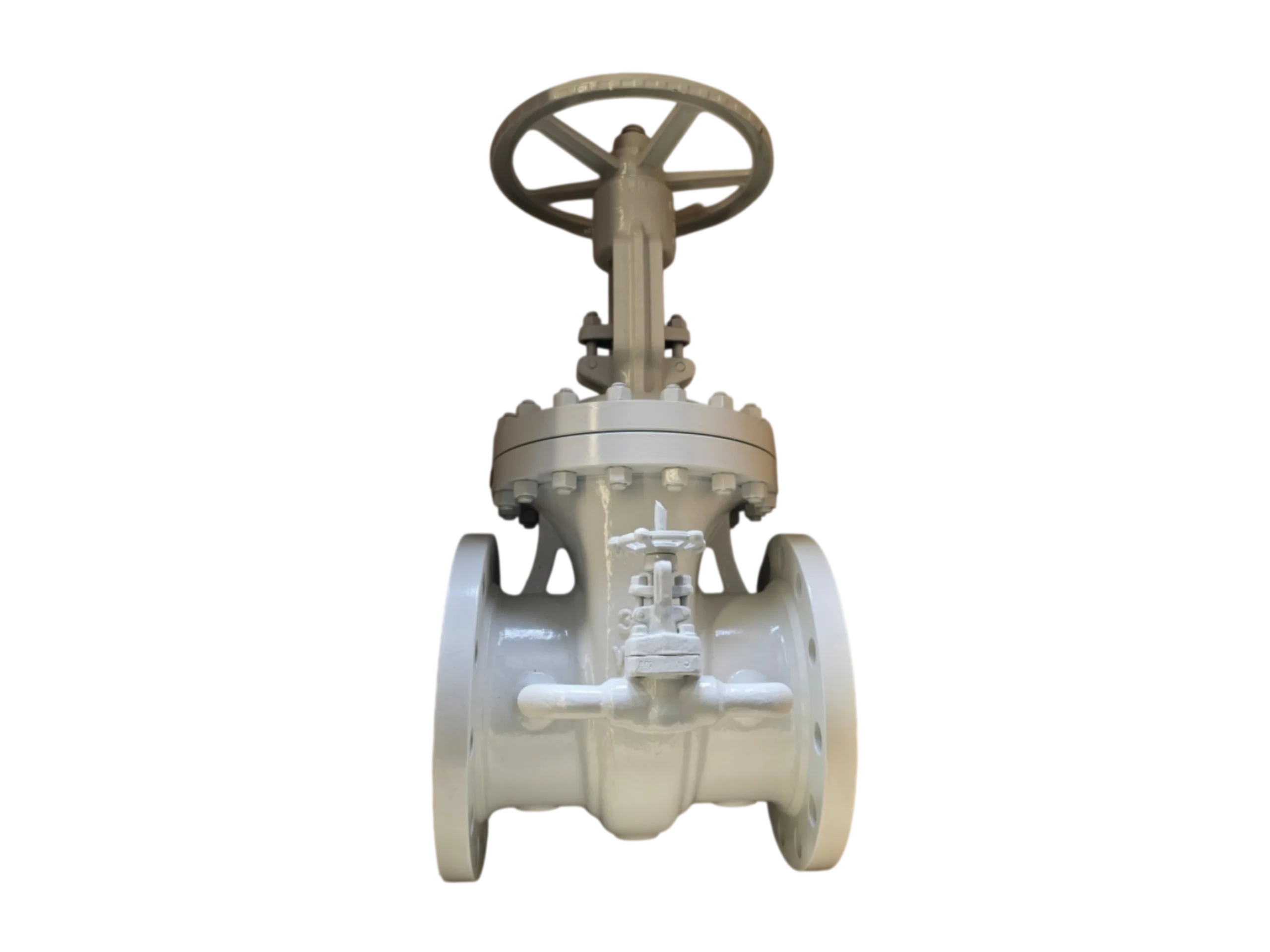 Cast Steel Parallel Slide Gate Valve (With Bypass Valve) - Image 3
