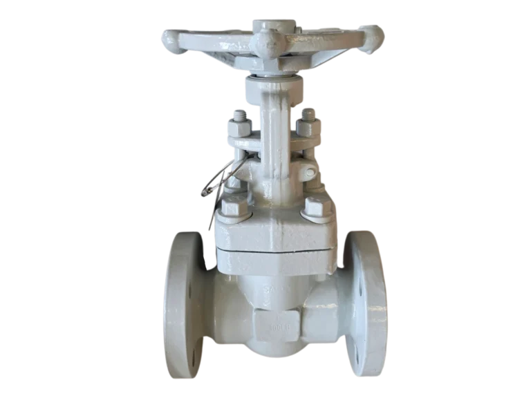 Forged Steel Parallel Slide Gate Valve