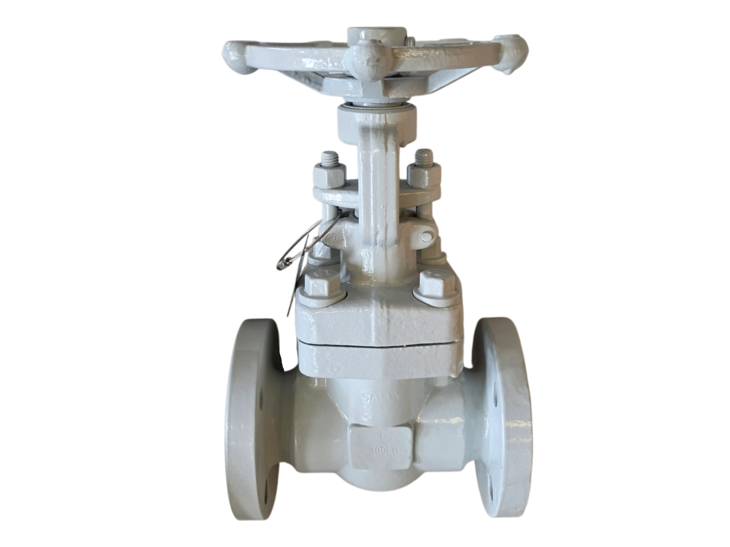 Forged Steel Parallel Slide Gate Valve