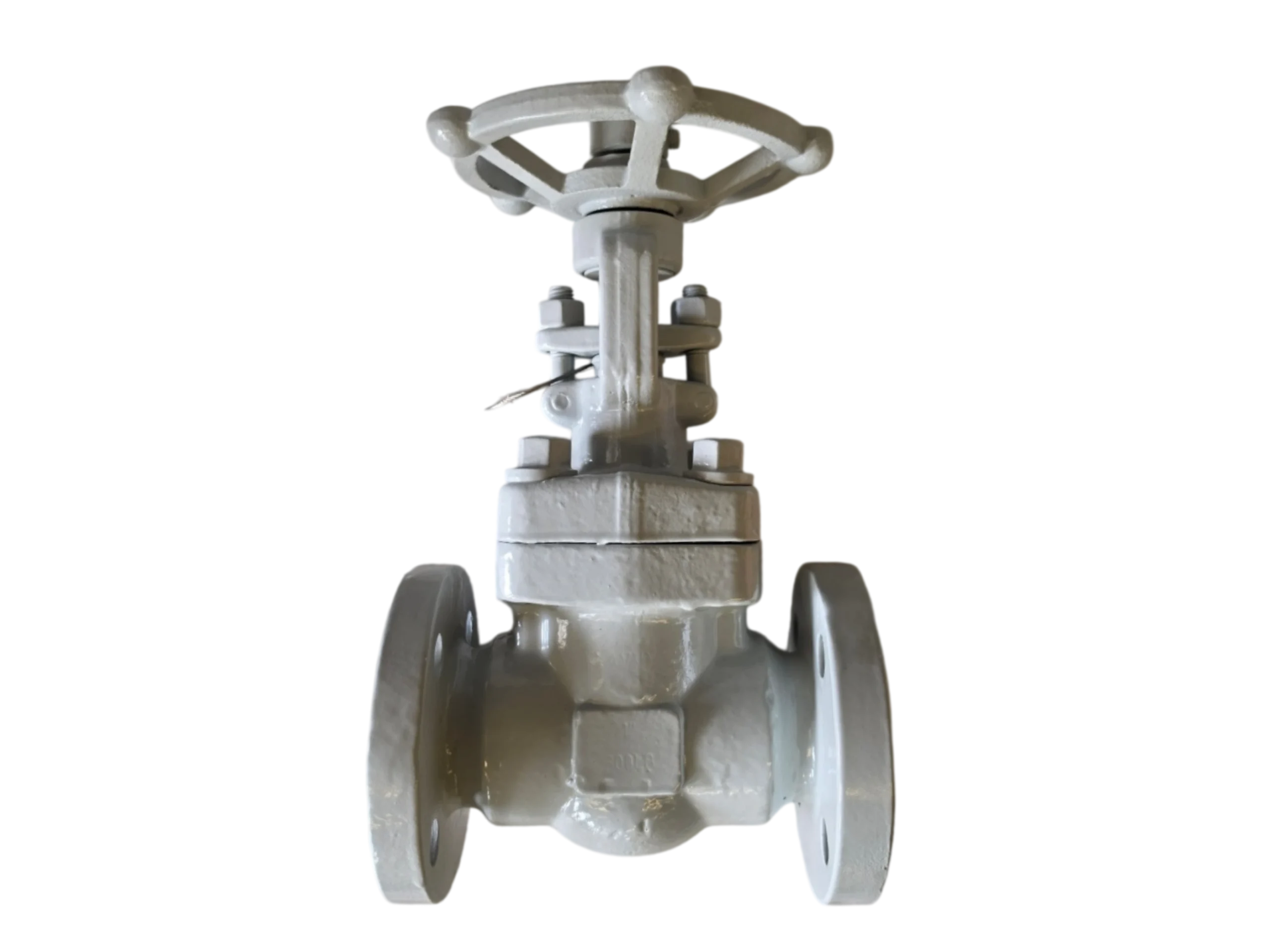 Forged Steel Parallel Slide Gate Valve - Image 2