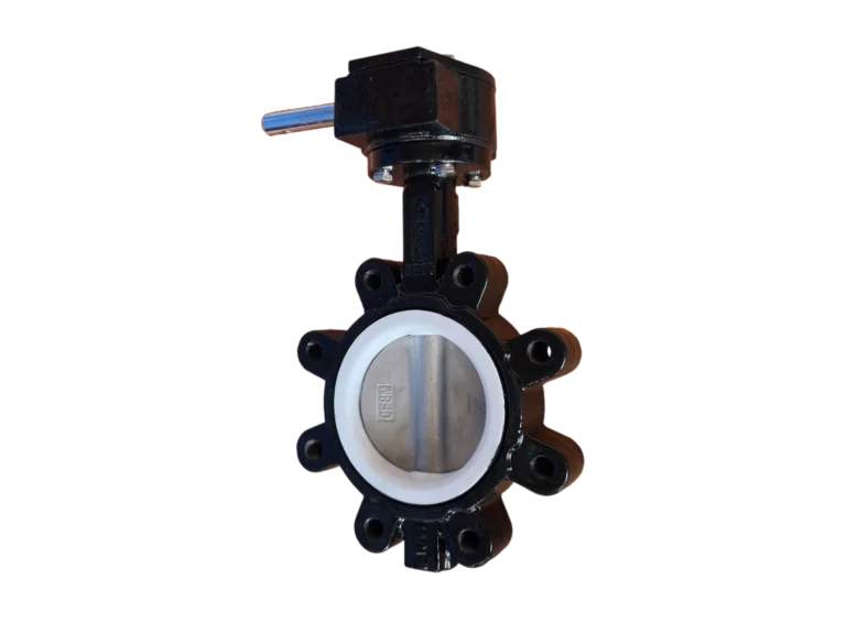 Fully PTFE Lined Lug Type Butterfly Valve (DN80, PN16)2