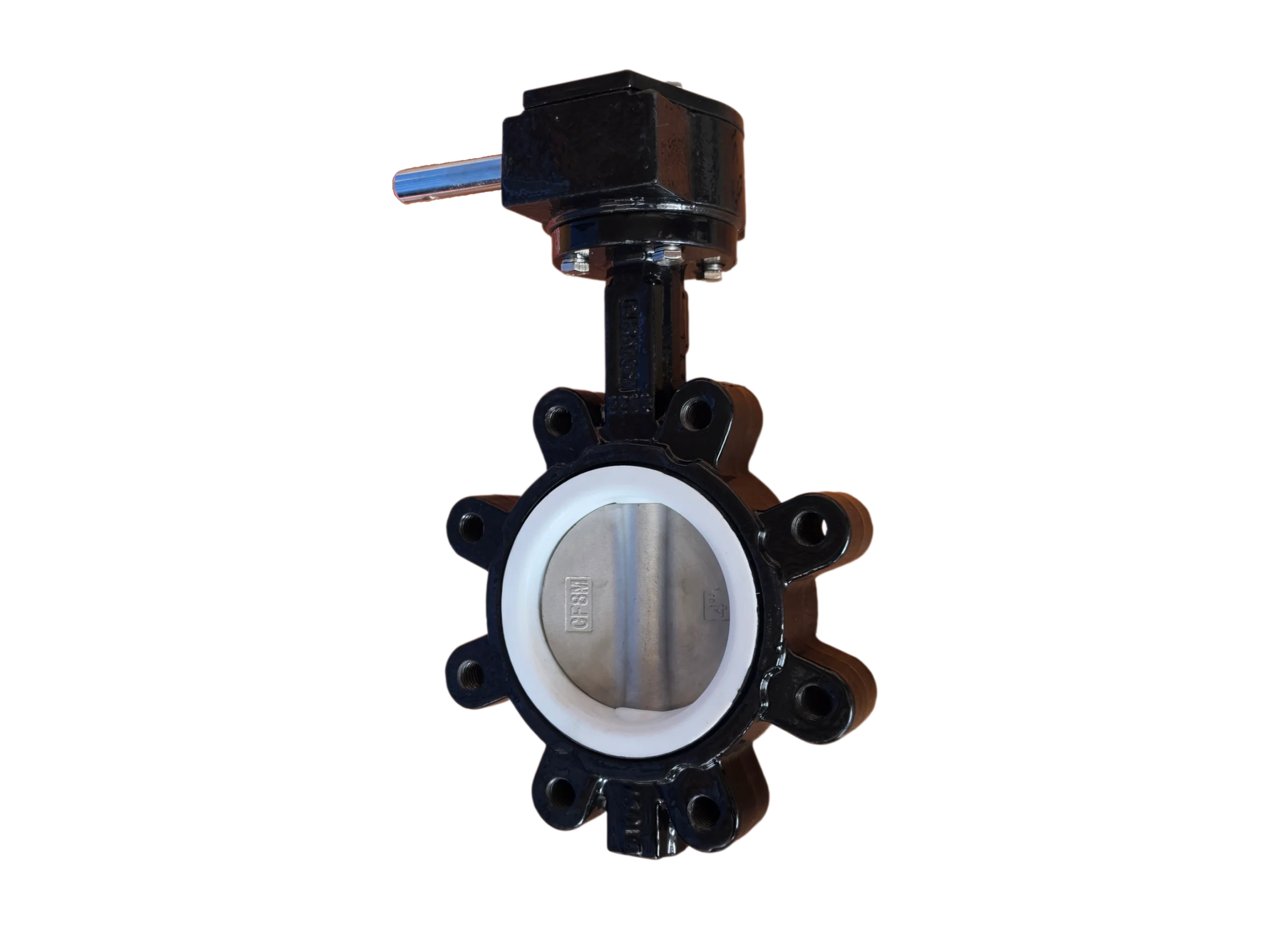 Fully PTFE Lined Lug Type Butterfly Valve (DN80, PN16)