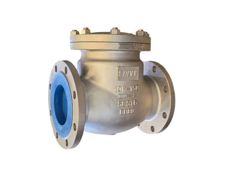 Stainless Steel Flanged Check Valve (JIS 10K ANSI 150)4