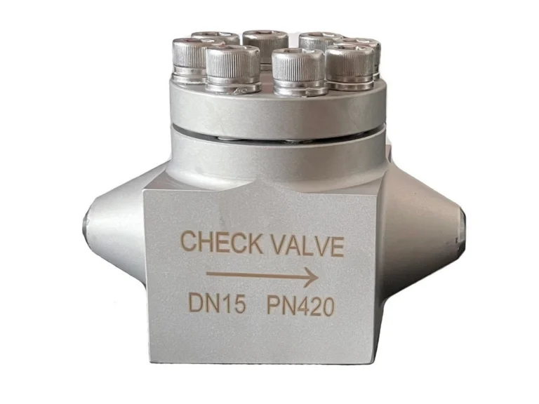 Cryogenic Lifting Check Valve1