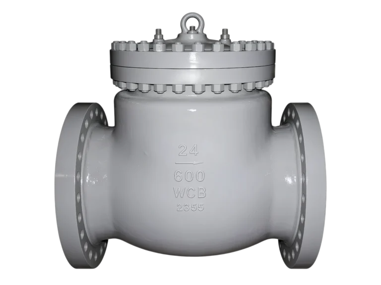 Full Bore Swing Check Valve (NPS 24 CL600)